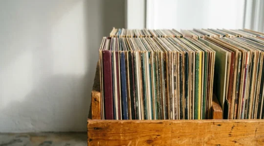 Organized vinyl records collection displayed with natural lighting showcasing careful curation and authentic collecting