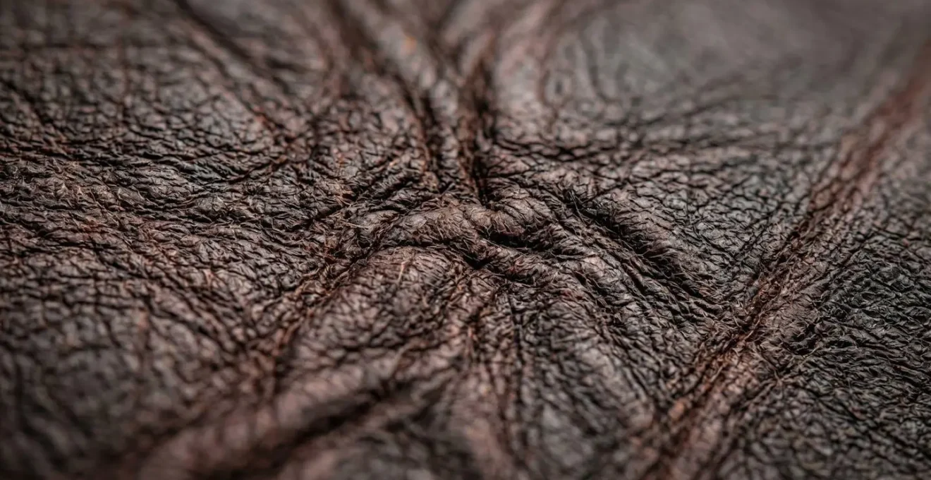 Extreme close-up macro photograph showing the dense grain structure and texture of premium leather material