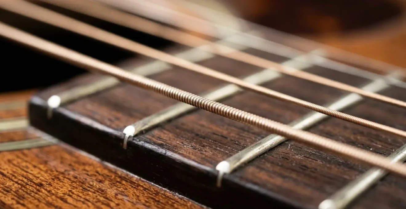 Extreme close-up of musical instrument strings showing delicate texture and subtle vibration representing dynamic range